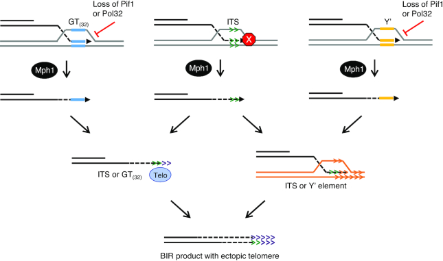 Figure 6.