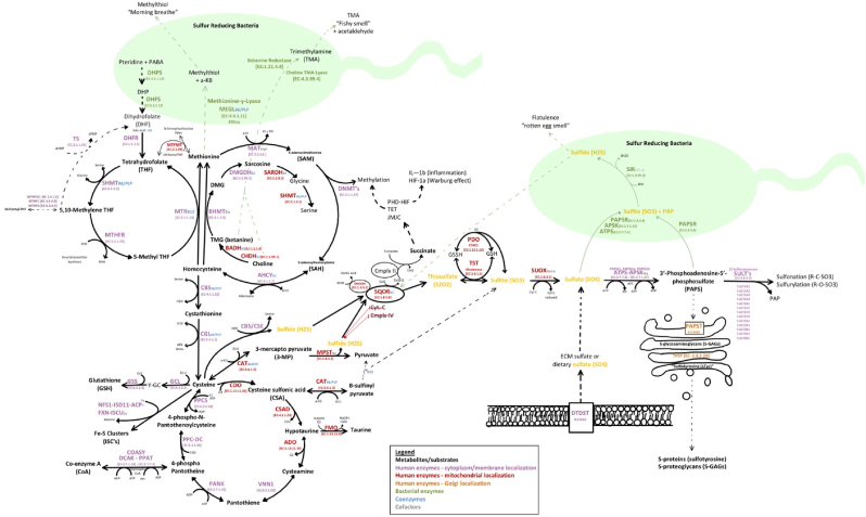 Fig. 2