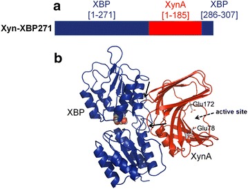 Fig. 2