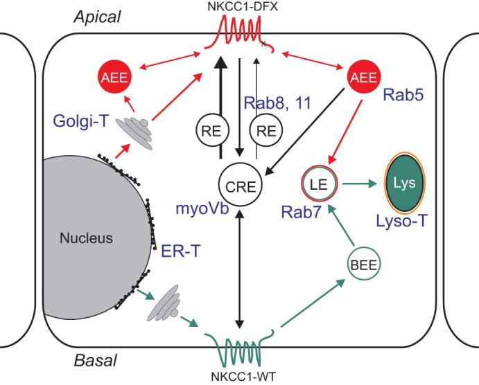 Fig. 13.