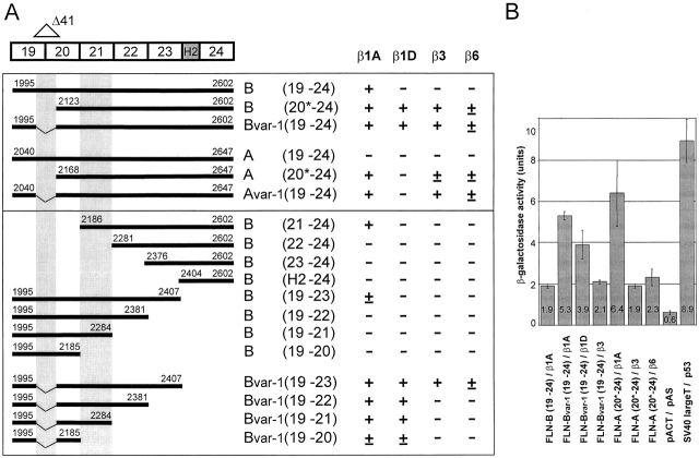 Figure 2.