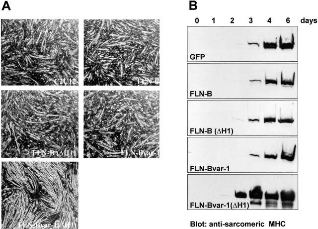 Figure 10.