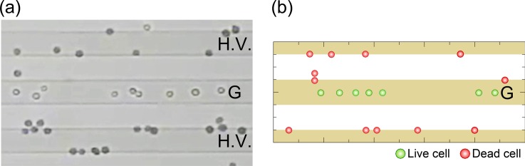 FIG. 9.