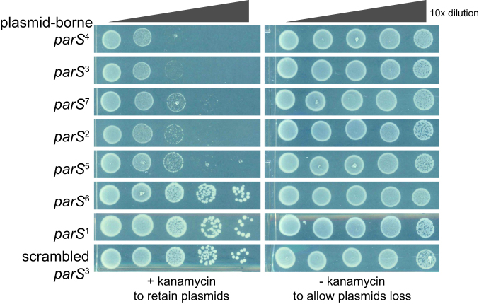 Figure 5.