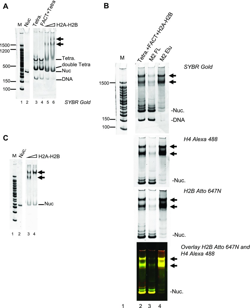 Figure 4.