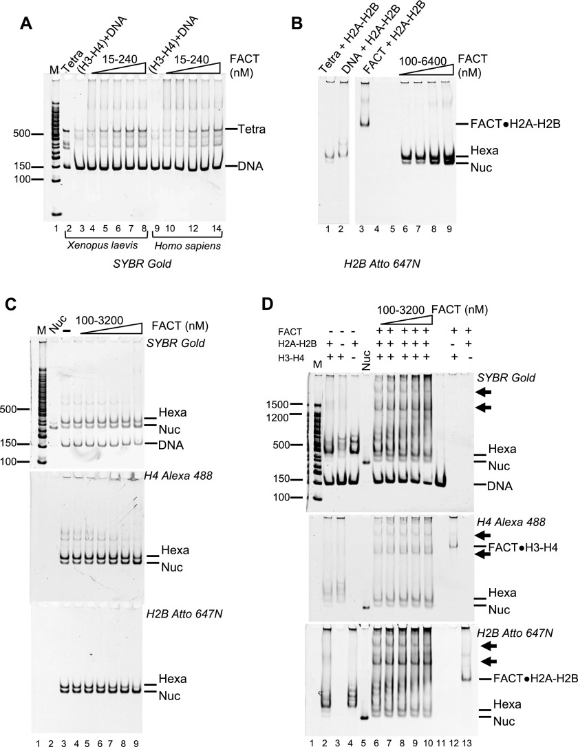 Figure 3.