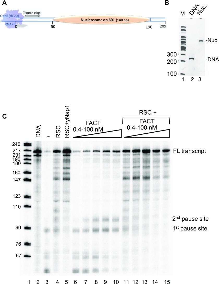 Figure 7.