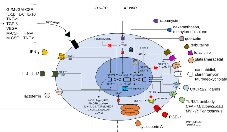 Figure 1