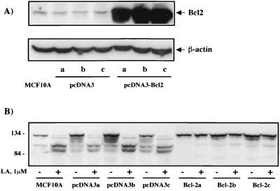 FIG. 8