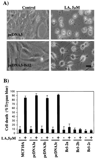 FIG. 9