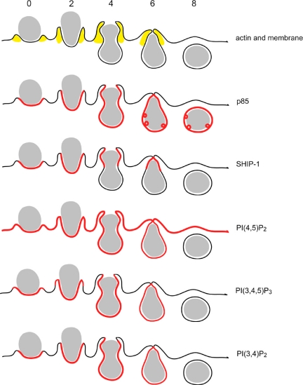 Figure 7.