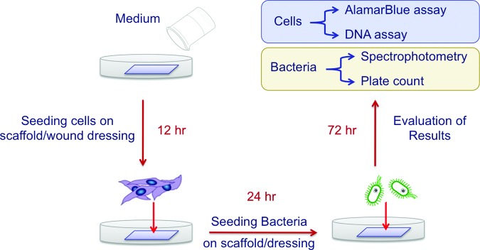 FIG. 2.