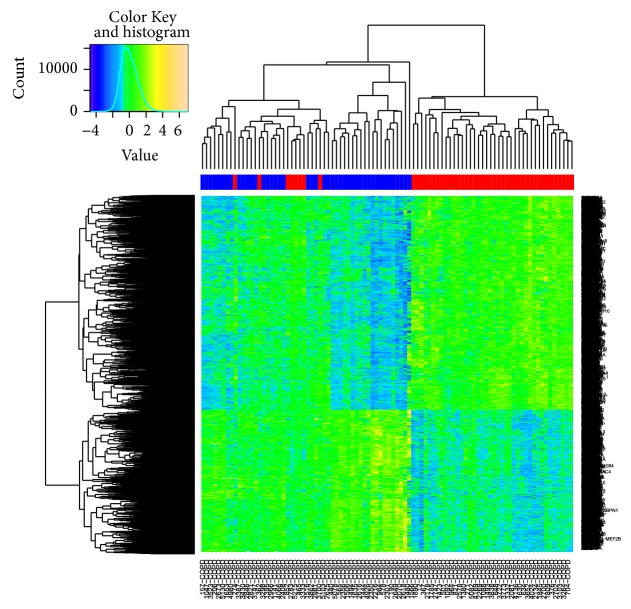 Figure 6