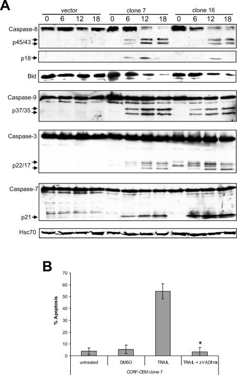 Fig 2.