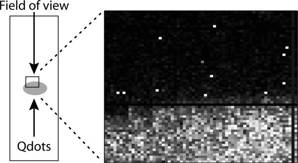 Fig. 15