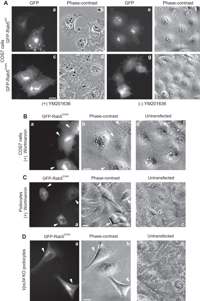 Fig. 6.