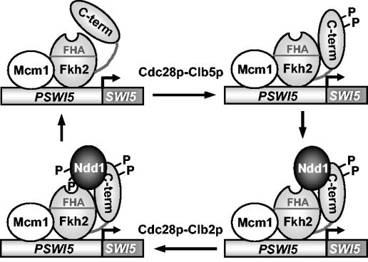 FIG. 6.