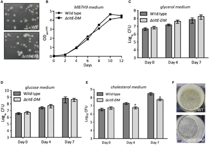 Figure 4