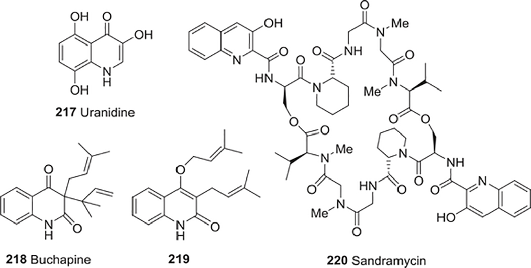 FIGURE 22: