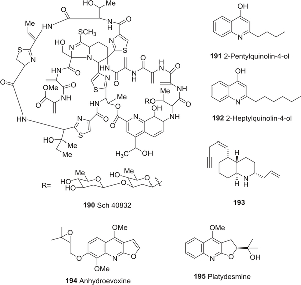 FIGURE 19: