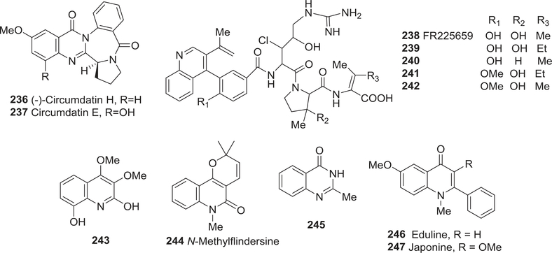 FIGURE 25: