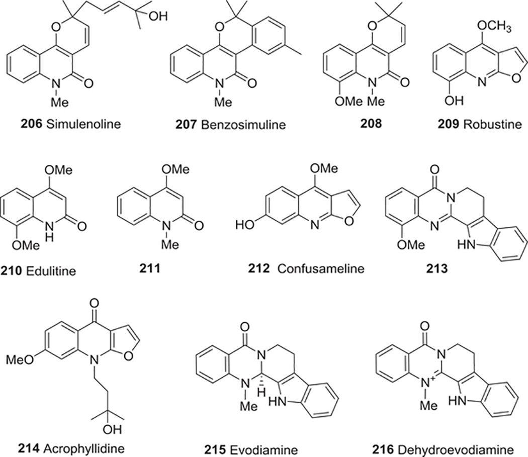 FIGURE 21: