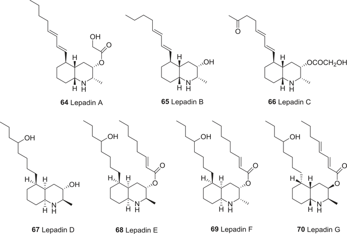 FIGURE 8: