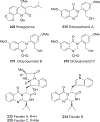 FIGURE 24: