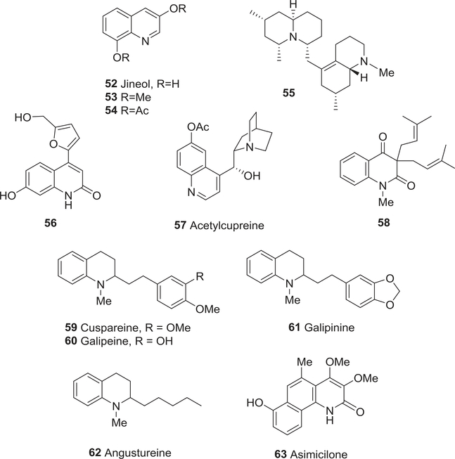 FIGURE 7: