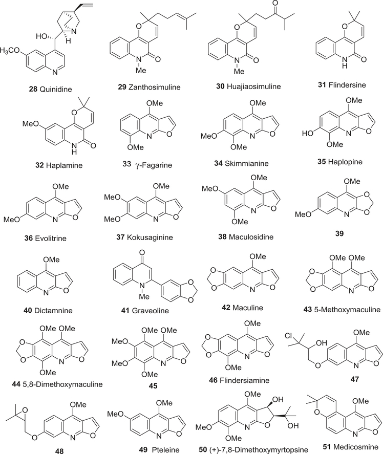 FIGURE 6: