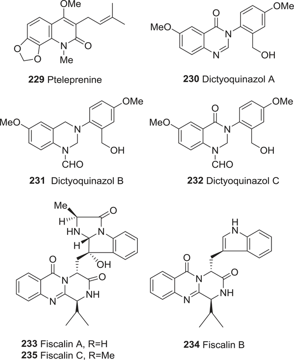 FIGURE 24: