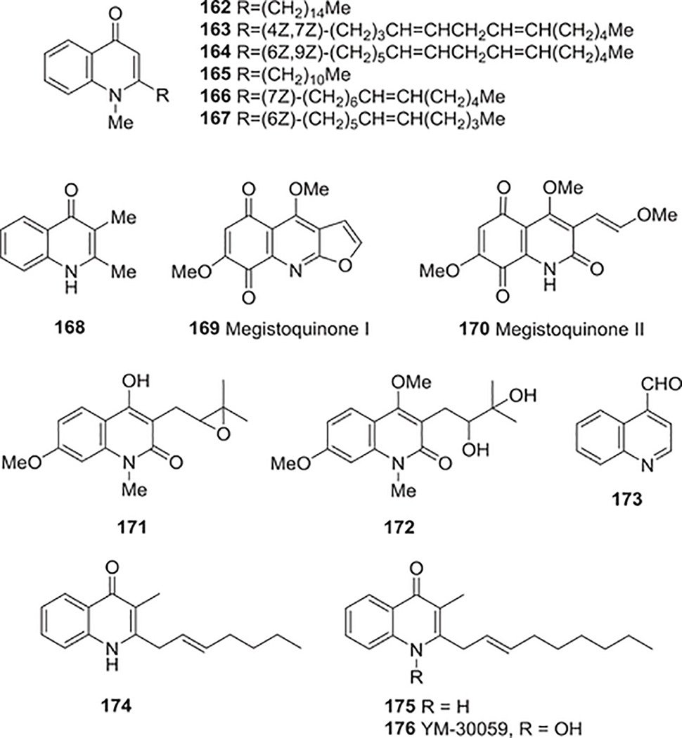 FIGURE 17: