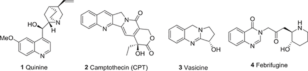 FIGURE 1: