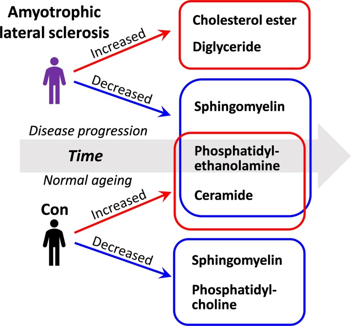 Graphical abstract