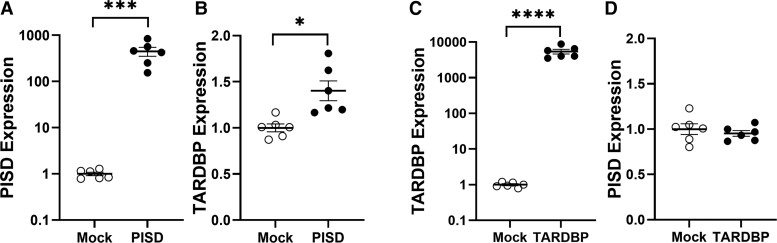 Figure 6