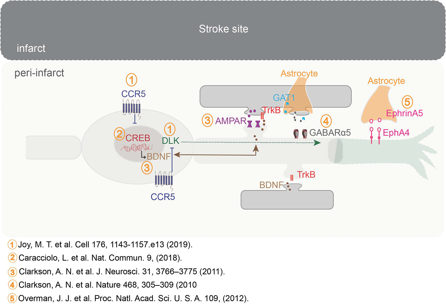 Figure 2: