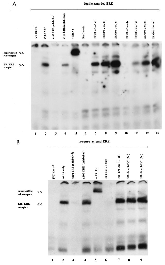 FIG. 6