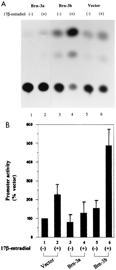 FIG. 7