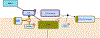 Figure 25