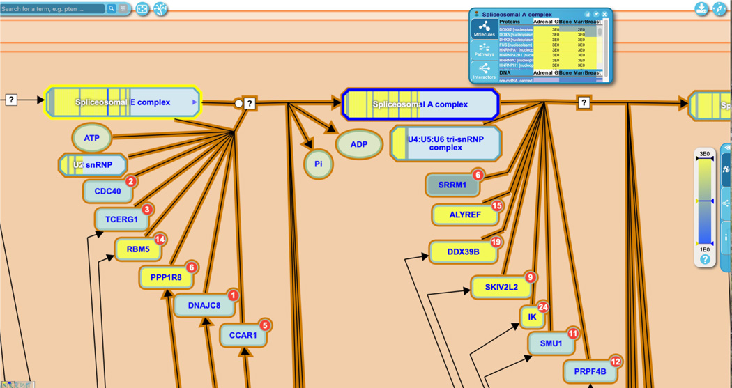 Figure 30