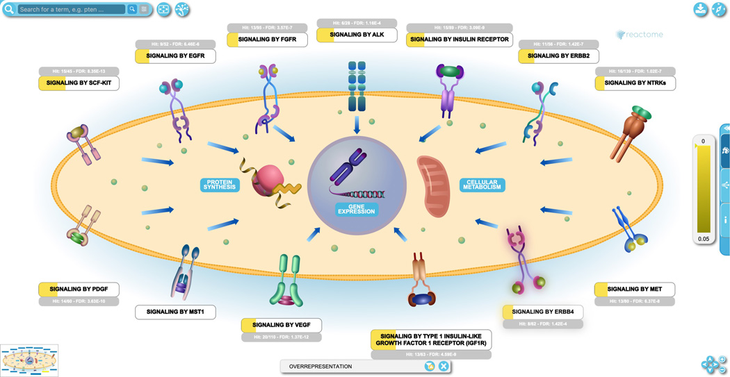 Figure 24