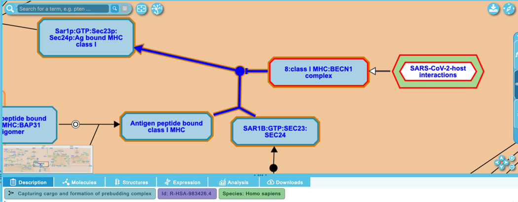 Figure 19b