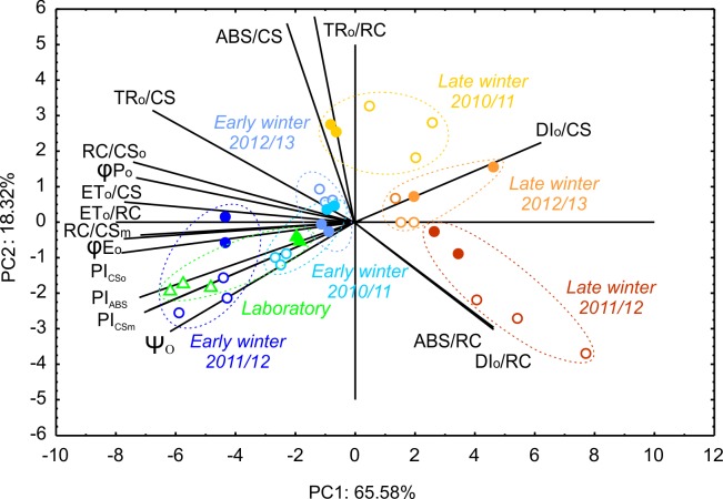 Fig 2