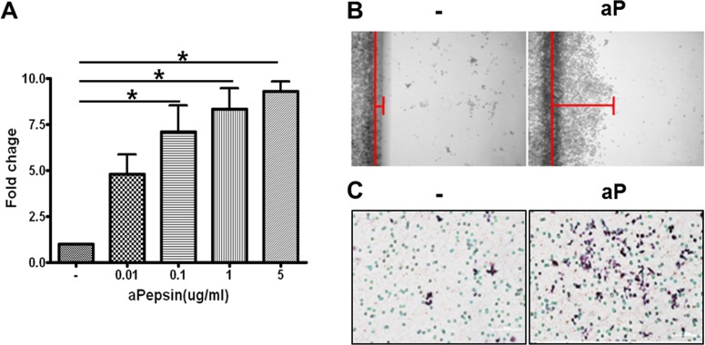 Fig 6