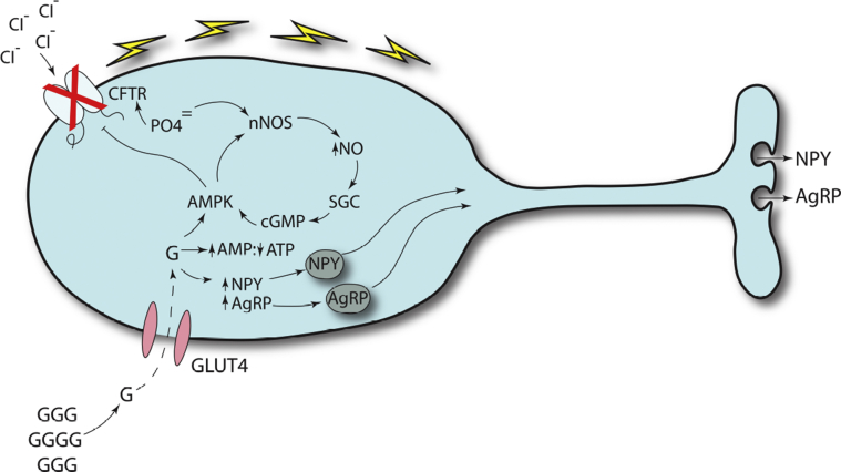 Figure 3