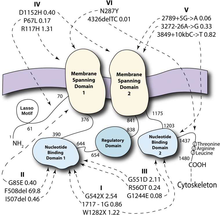 Figure 2