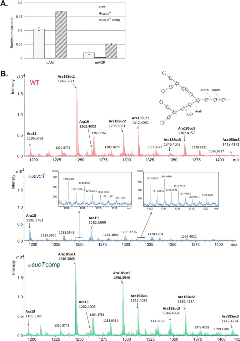 Figure 3.