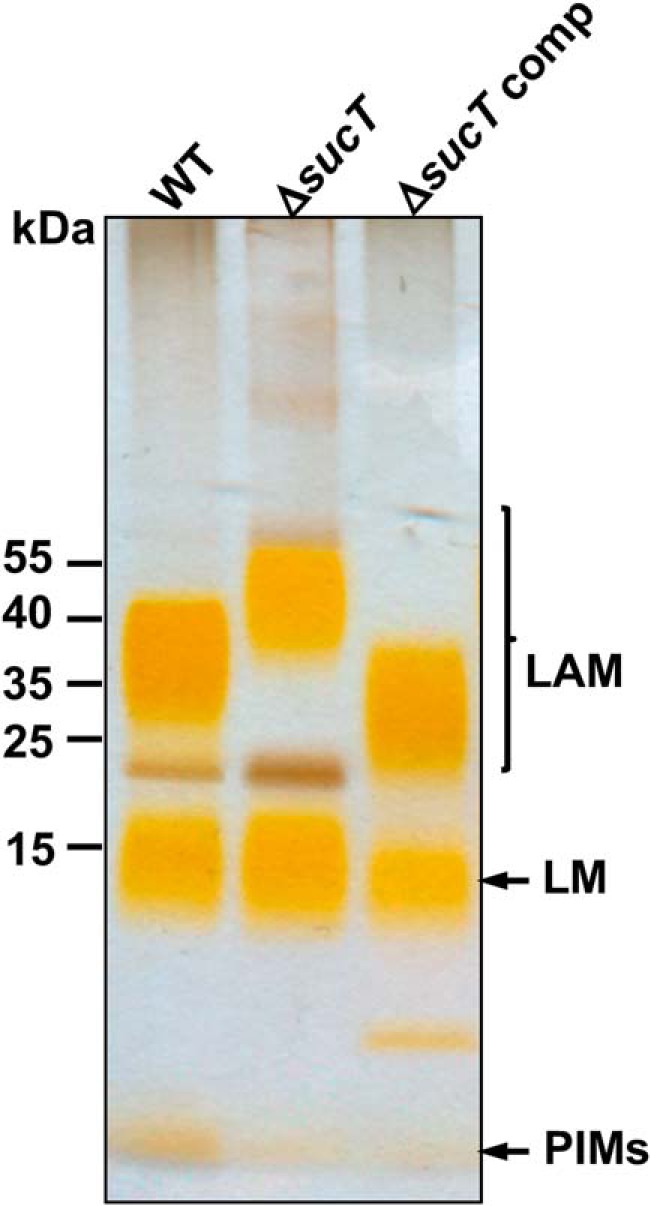 Figure 2.