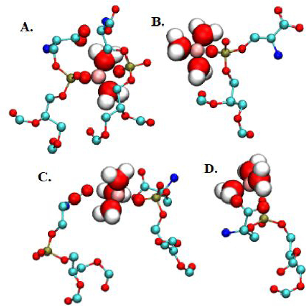 Figure 10.