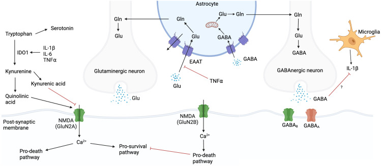 Figure 4